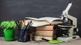 Timeline: Evolución del concepto y derecho de la educación