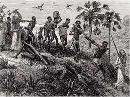 Los primeros esclavos en las islas del Caribe (1502)