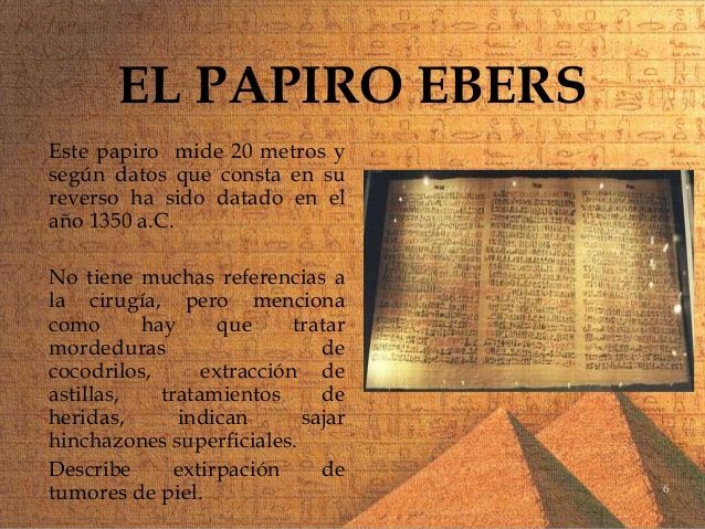 El Papiro Ebers