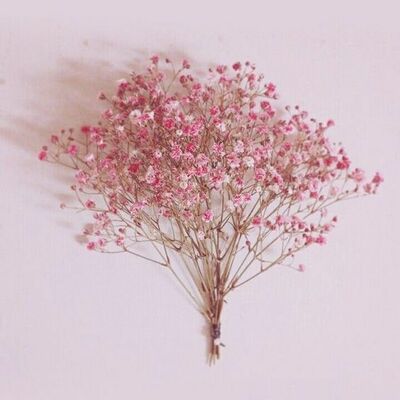 Timeline: HISTORIA DE LA MODA