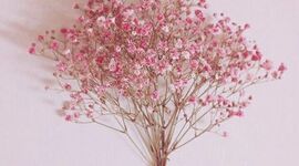 Timeline: HISTORIA DE LA MODA