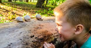 Pedagogía lenta, serena y sostenible