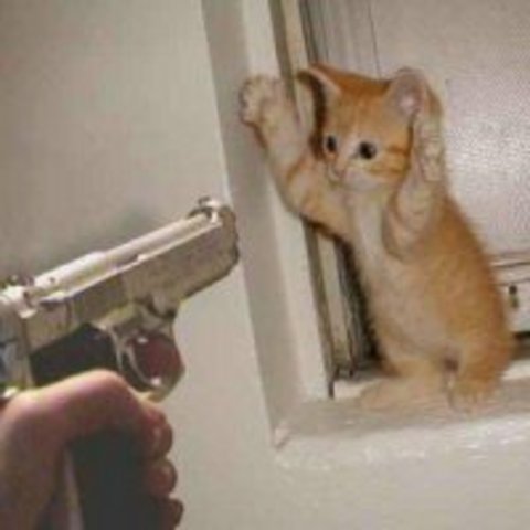 The First Robbery flashback