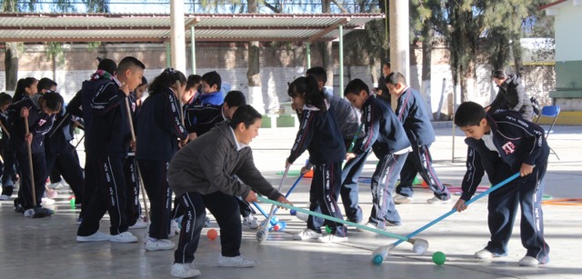 Su inclusión en las escuelas públicas