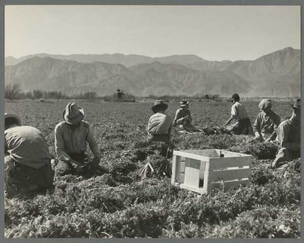 Increase In Production Change