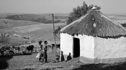 Born Rolihlahla Mandela at Mvezo in the Transkei