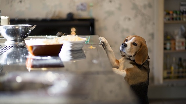 Seguimiento de la Señal