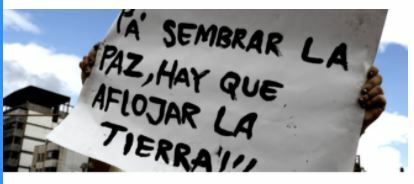 RECRUDECIMIENTO VIOLENCIA