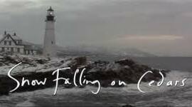 Timeline:  Snow Falling on Cedars