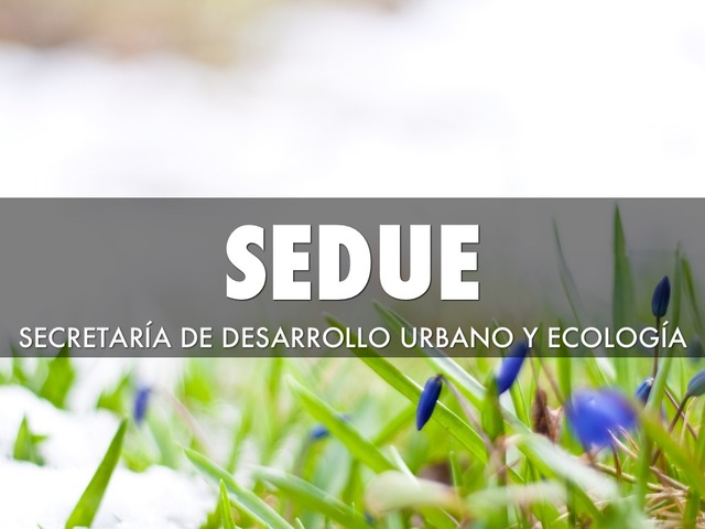 SEDUE y Subsecretaría de Ecología