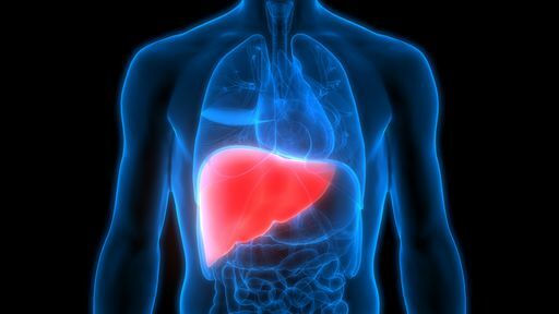 O corpo como máquina