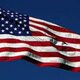 Imagen bandera usa