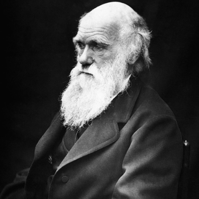 Timeline: Darwin