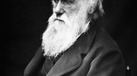 Timeline: Darwin