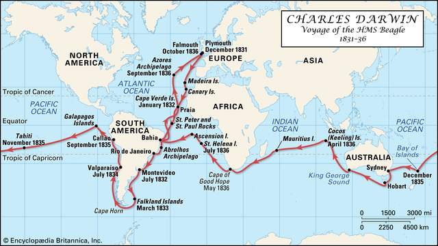 HMS Beagle