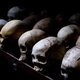 Rwandan genocide