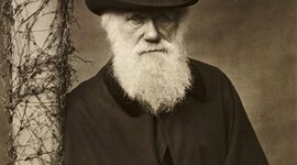 Timeline: Darwin