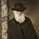 Charles darwin 520d92f8 300x300