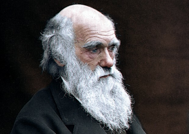 Darwin: "teoria dell'evoluzione"