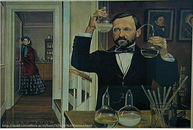 Pasteur investigó la causa de la infección urinaria en el hombre