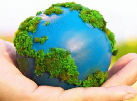 Ley Federal para la Protección Ambiental