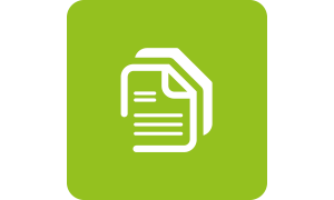 Inclucion legal del ECM en los estándares gubernamentales