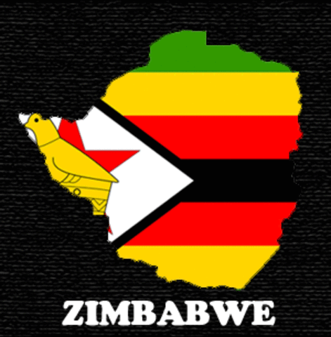 Zimbabwe's Year of Independence