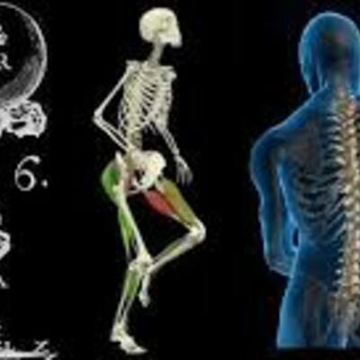 Timeline: Antropología del deporte