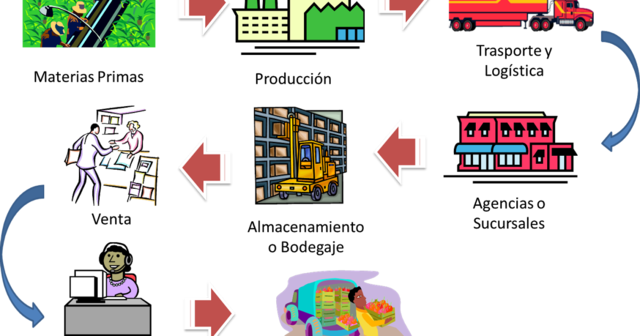 La cadena y el ciclo de vida