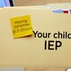 What is an iep