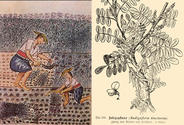 Apertura de la AO, Extinción del Monte Pío.