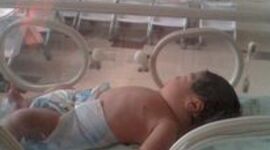 Timeline: Meu Nascimento