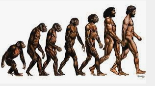 Darwin's Theory Takes Shape (1836 - 1858)