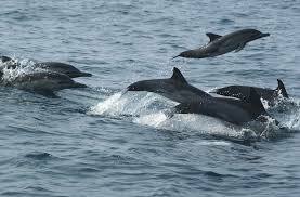 la jubilación de la directora financiera