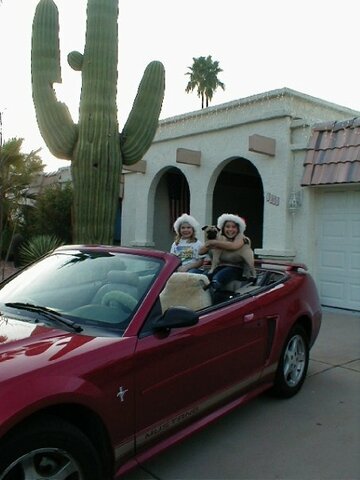 Move from Massachusetts to Arizona