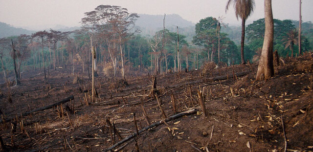 "Conferencia de las naciones unidas"