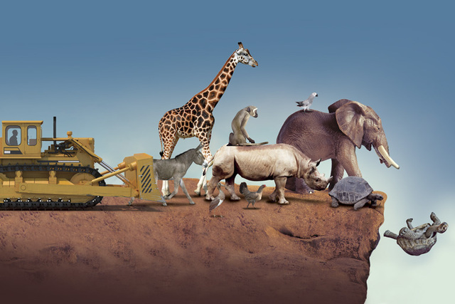 "Extinción de especies"