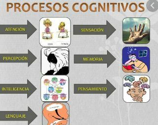 Psicología cognitiva