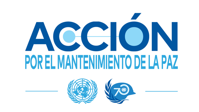 Acción colectiva por la paz