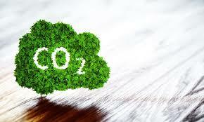 La cumbre de la Tierra de Rio de Janeiro