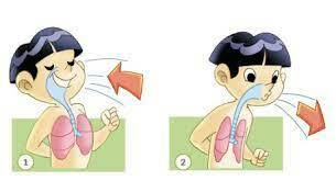 MONITORIZACIÓN RESPIRATORIA