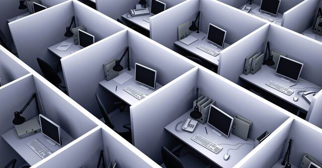 University/Collage Major and Job