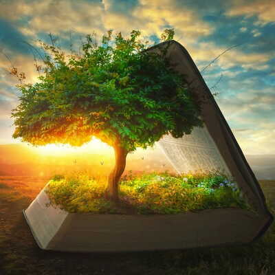 Timeline: Task #1 - Genesis 1 Timeline