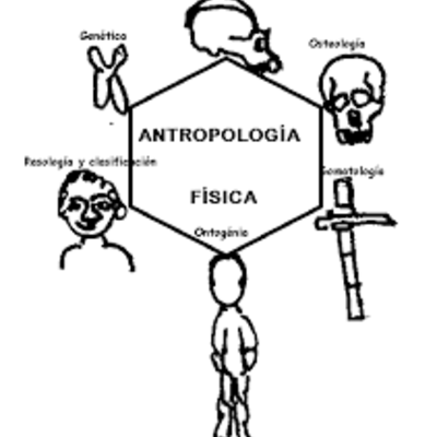 Timeline: Estado del arte de la antropología del deporte