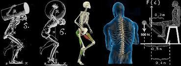 Actualidad en la Antropología del deporte