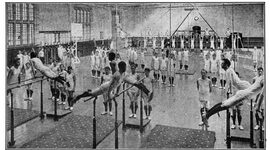 Timeline: La Historia de la Gimnasia