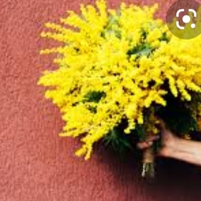 Timeline: Women's day