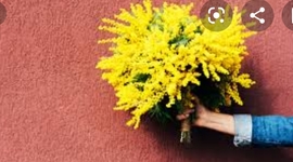 Timeline: Women's day