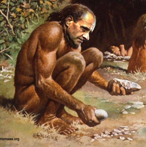 Homo Habilis ( handy man)
