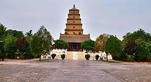 Pagoda de ganso sivestre